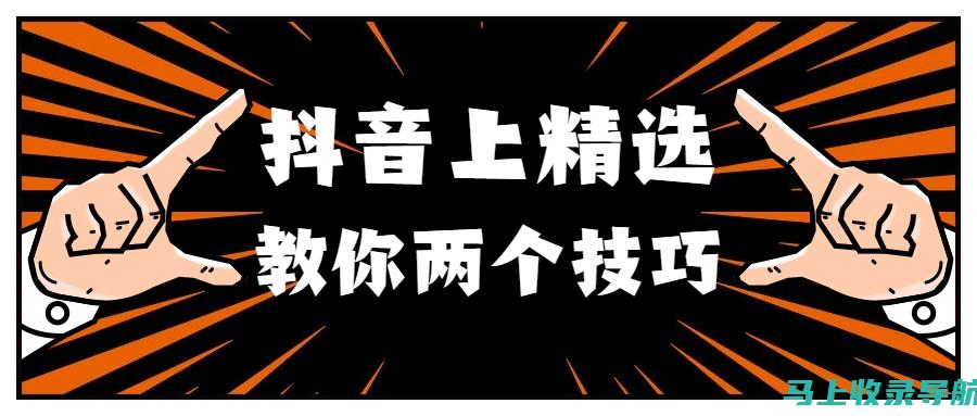 轻松上手抖音SEO查询工具：一步步入门教程