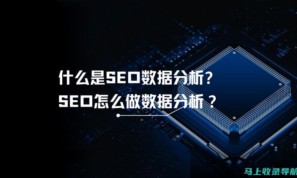 解析SEO查询在网站运营中的重要性